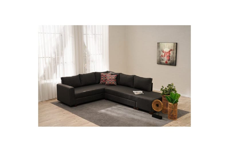 Kulmasohva-sänky Iroulport Oikea Antrasiitti - Antrasiitti - Huonekalut - Sohva - Vuodesohva