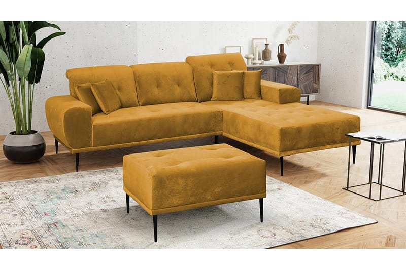 Sohvaryhmä Rapana Oikea Rahilla - Sametti/Keltainen - Huonekalut - Sohva - Sohvaryhmä