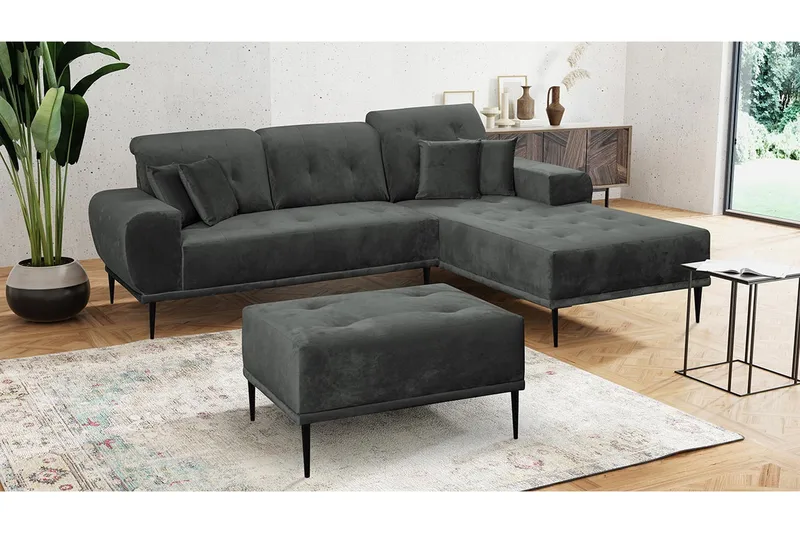 Sohvaryhmä Rapana Oikea Rahilla - Sametti/Vaaleanharmaa/Musta - Huonekalut - Sohva - Sohvaryhmä