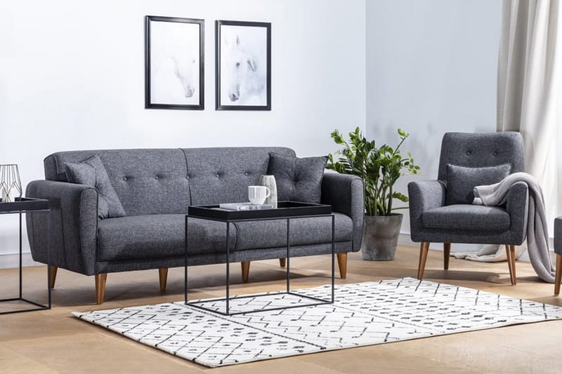 Sohvaryhmä Sanhaja, Antrasiitti