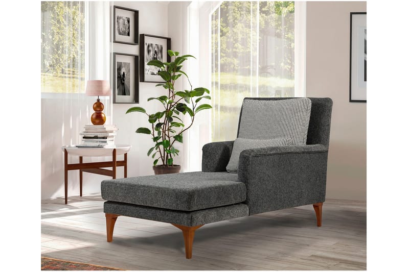 Dagbädd Siregiolo - Antrasiitti/Luonnonväri - Huonekalut - Sohva - Sohvasängyt