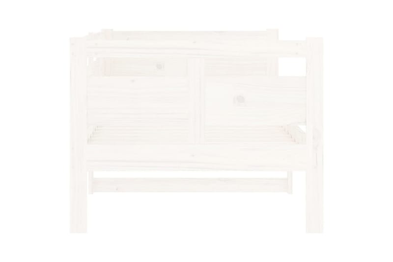 Sohvasänky valkoinen täysi mänty 80x200 cm - Valkoinen - Huonekalut - Sohva - Sohvasängyt