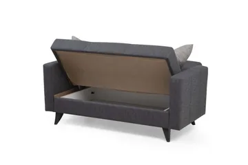 Darcia 2-istuttava vuodesohva 55x125 cm säilytystilalla kankaasta - Antrasiitti - Huonekalut - Sohva - Vuodesohva