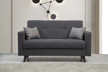 Darcia 2-istuttava vuodesohva 55x125 cm säilytystilalla kankaasta - Antrasiitti - Huonekalut - Sohva - Vuodesohva