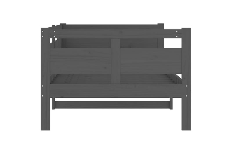Sohvasänky harmaa täysi mänty 90x200 cm - Harmaa - Huonekalut - Sohva - Sohvasängyt