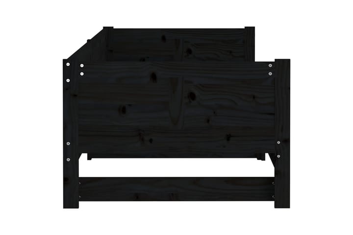 Sohvasänky ulosvedettävä musta täysi mänty 2x (80x200) cm - Musta - Vuodesohva