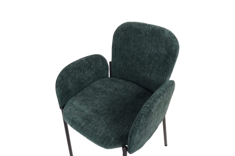 2 ruokatuolia Albee - Vihreä, musta - Huonekalut - Tuoli & nojatuoli - Ruokapöydän tuolit