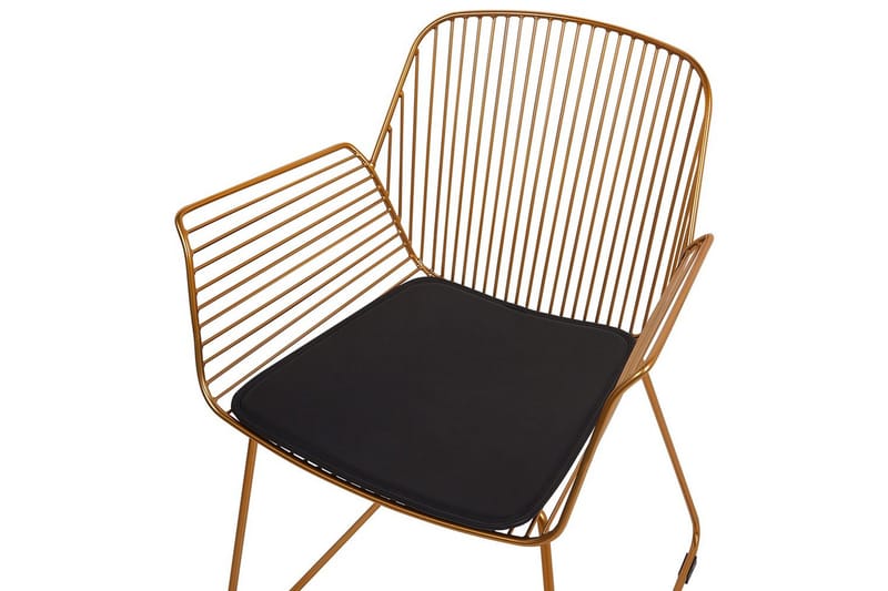 2 ruokatuolia Appleton - Kulta, musta - Huonekalut - Tuoli & nojatuoli - Ruokapöydän tuolit