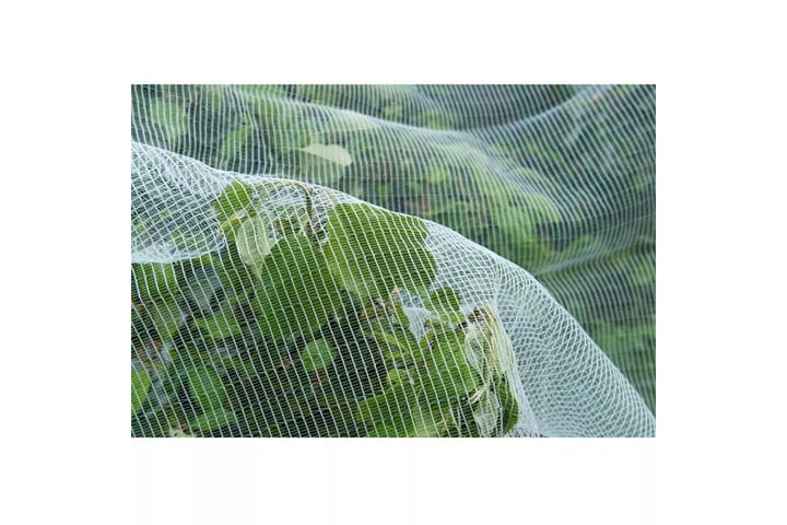 Nature Hyönteisverkko Omenakääriäisiä vastaan - Baarituoli