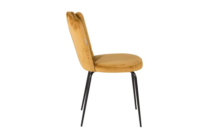 Nojatuoli Limhamn Sametti - Keltainen - Huonekalut - Tuoli & nojatuoli - Ruokapöydän tuolit