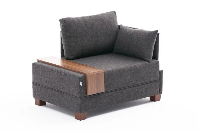 Divaaninojatuoli Bulgaria, Antrasiitti