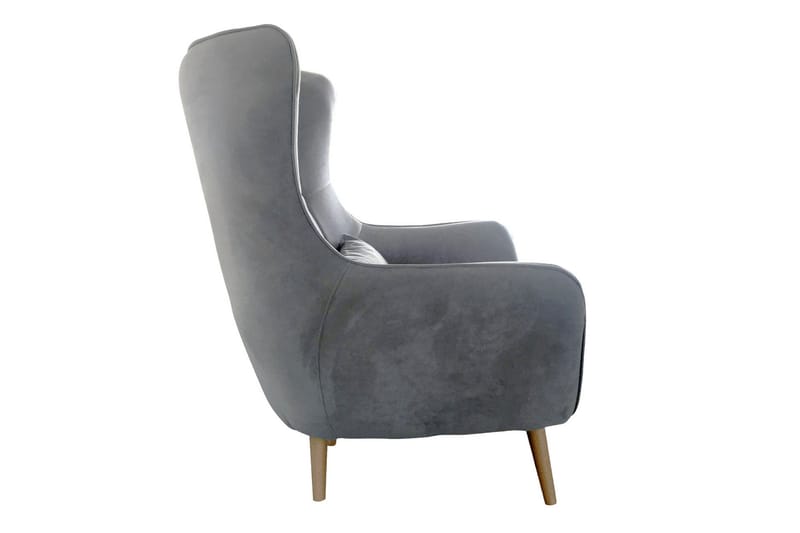 Nojatuoli - Punainen - Huonekalut - Tuoli & nojatuoli - Nojatuoli & lepotuoli - Samettinojatuoli