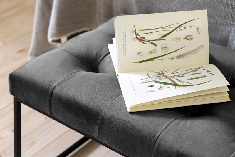 Istuinpenkki Rebeca 120 cm Neliö - Tummanharmaa - Huonekalut - Tuoli & nojatuoli - Penkki - Eteispenkki