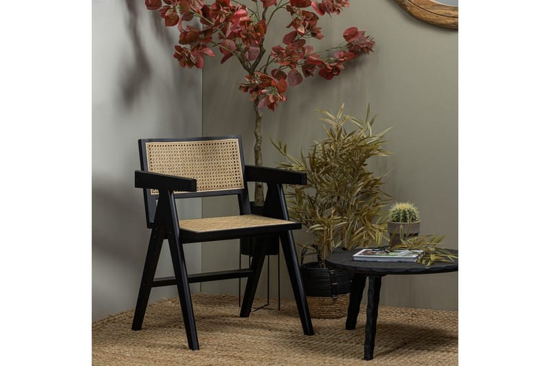 Ruokatuoli Gunn - Huonekalut - Tuoli & nojatuoli - Ruokapöydän tuolit