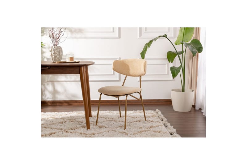 Ruokatuoli Sanroman Beige / Kulta - Beige / Kulta - Huonekalut - Tuoli & nojatuoli - Ruokapöydän tuolit