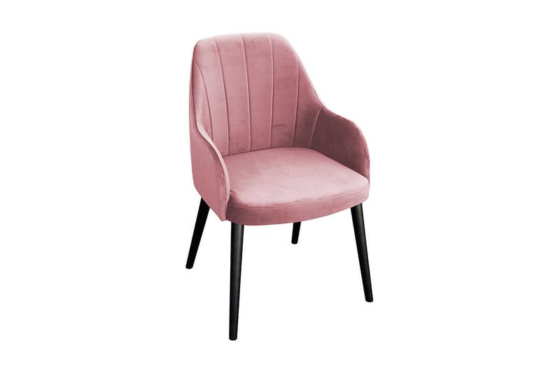 Buckfast Ruokatuoli, undefined