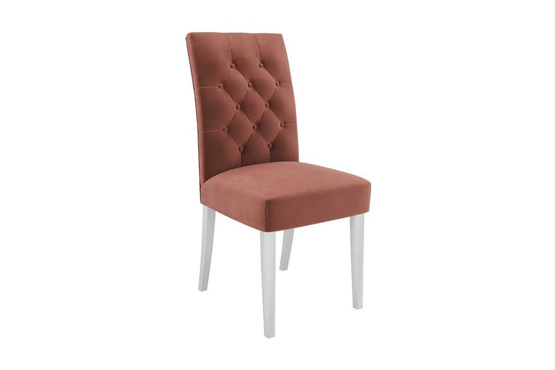 Buckfast Ruokatuoli, undefined