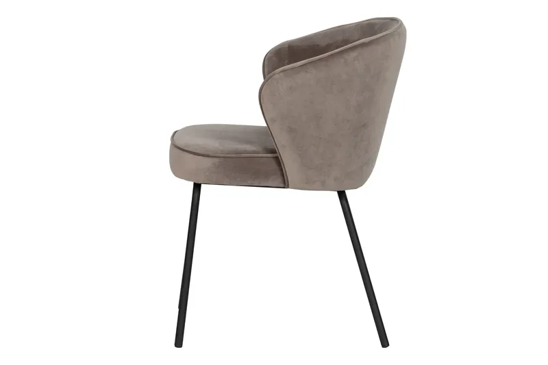 Claribel Ruokatuoli Sametti, undefined