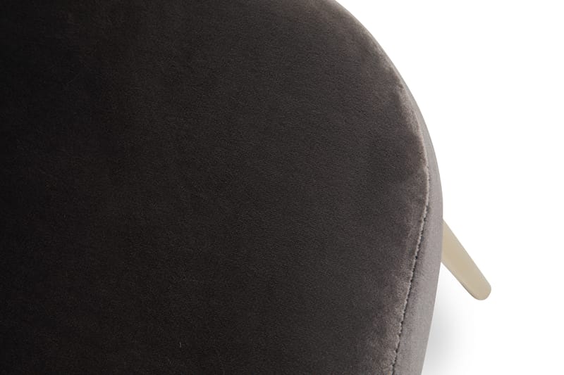 Ruokatuoli Gerardo Sametti - Harmaa/Kulta - Huonekalut - Tuoli & nojatuoli - Ruokapöydän tuolit