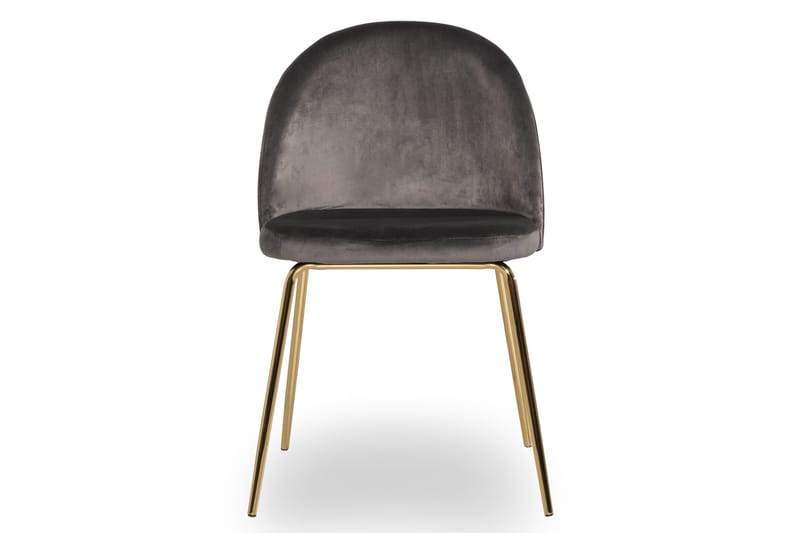 Ruokatuoli Gerardo Sametti - Harmaa/Kulta - Huonekalut - Tuoli & nojatuoli - Ruokapöydän tuolit