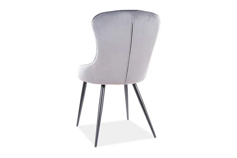 Ruokatuoli Omiya - Sametti/Harmaa/Musta - Huonekalut - Tuoli & nojatuoli - Ruokapöydän tuolit