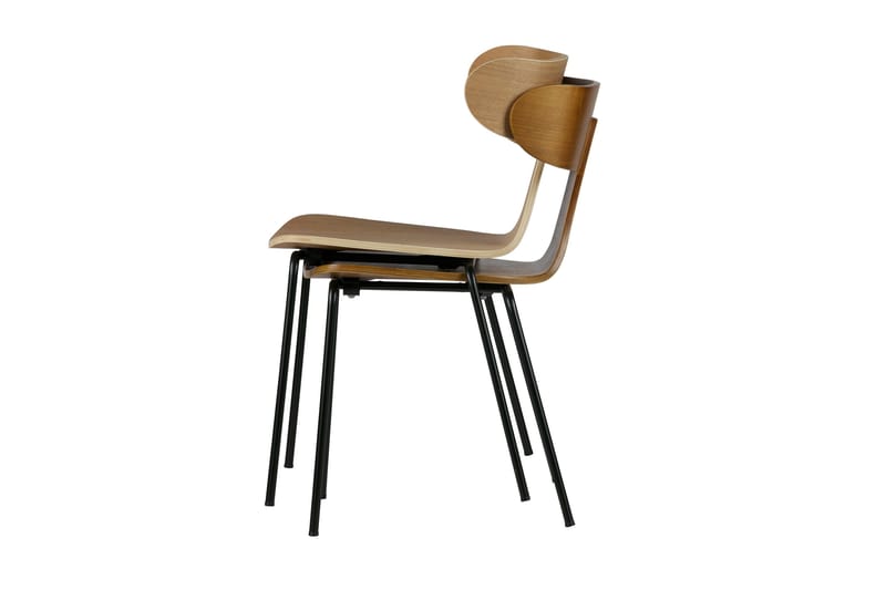 Ruokatuoli Rite - Saarnivaneri - Huonekalut - Tuoli & nojatuoli - Ruokapöydän tuolit