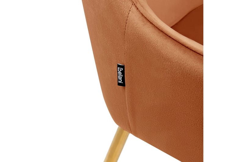 Sarja 2 ruokatuolia Loverna - Oranssi, kulta/Sametti - Huonekalut - Tuoli & nojatuoli - Ruokapöydän tuolit