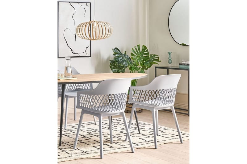 Setti kahdesta ruokatuolista Almira - Harmaa - Huonekalut - Tuoli & nojatuoli - Ruokapöydän tuolit