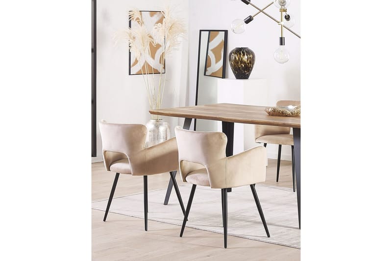 Setti kahdesta ruokatuolista Sanilac - Beige, musta, taupe - Huonekalut - Tuoli & nojatuoli - Ruokapöydän tuolit