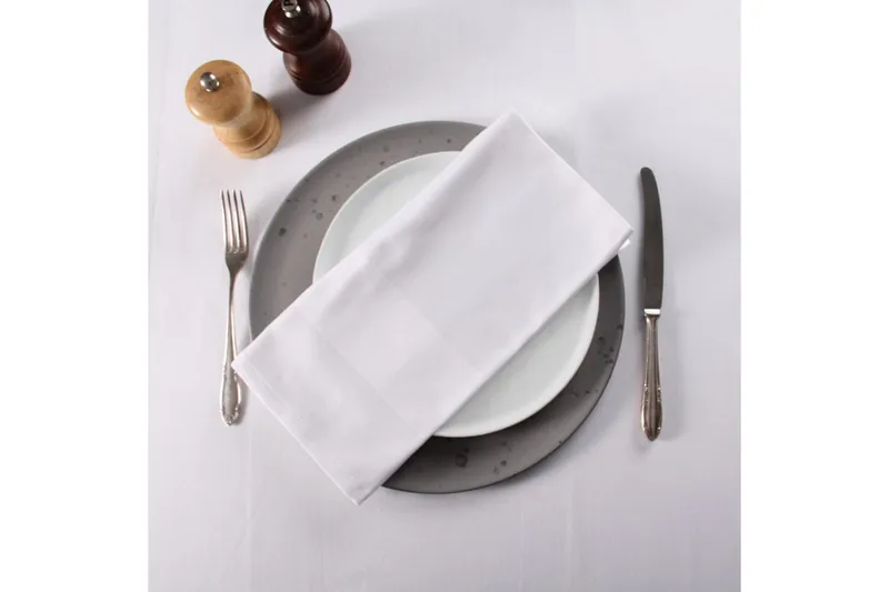 Lautasliina Fritz Magnus Trading Delight 50 x 50 cm Valkoinen - Kodintekstiilit & matot - Keittiötekstiilit - Lautasliina kangas