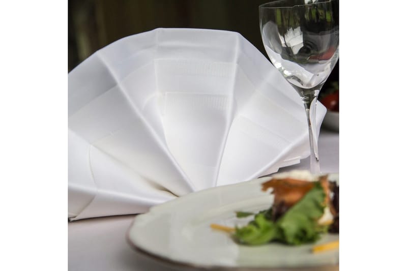 Lautasliina Fritz Magnus Trading Delight 50 x 50 cm Valkoinen - Kodintekstiilit & matot - Keittiötekstiilit - Lautasliina kangas