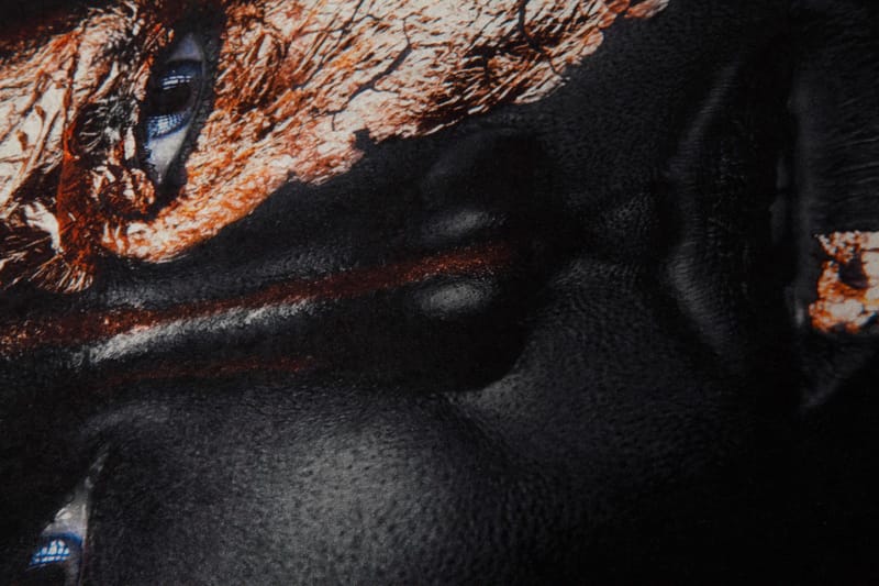 Homefesto Matto 100x150 cm - Monivärinen - Kodintekstiilit & matot - Matto - Itämainen matto - Persialainen matto