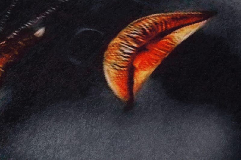 Homefesto Matto 100x150 cm - Monivärinen - Kodintekstiilit & matot - Matto - Itämainen matto - Persialainen matto