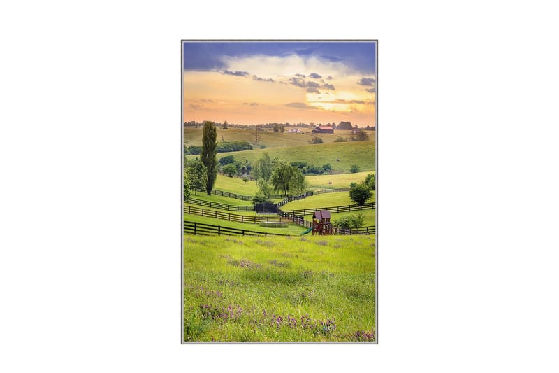 Homefesto Matto 100x200 cm - Monivärinen - Kodintekstiilit & matot - Matto - Itämainen matto - Persialainen matto