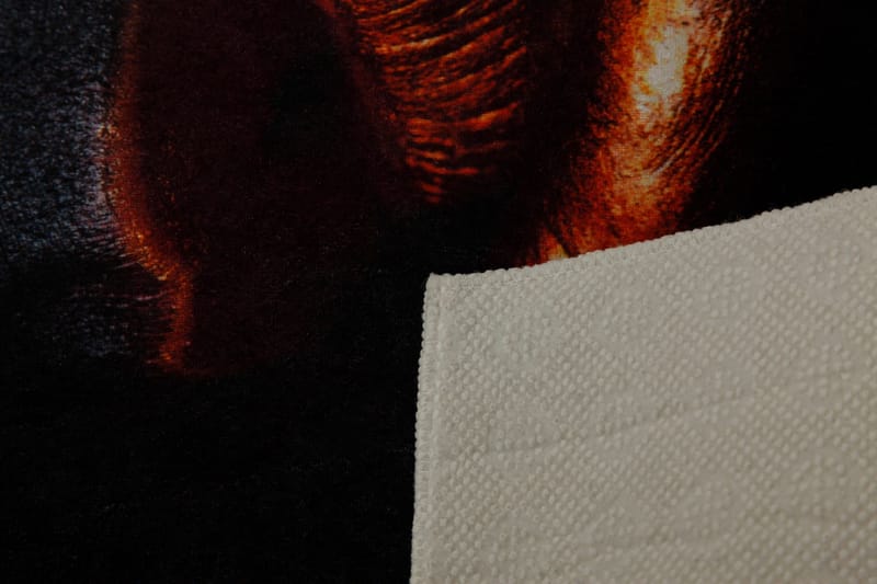 Homefesto Matto 100x200 cm - Monivärinen - Kodintekstiilit & matot - Matto - Itämainen matto - Persialainen matto