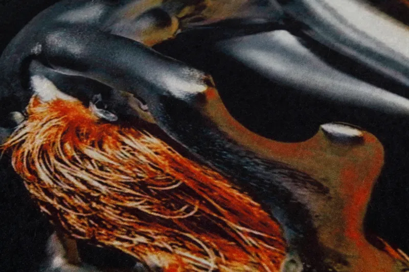 Homefesto Matto 120x180 cm - Monivärinen - Kodintekstiilit & matot - Matto - Itämainen matto - Persialainen matto