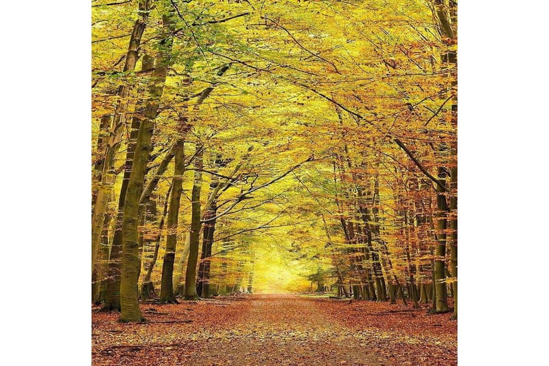 Homefesto Matto 140x220 cm - Monivärinen - Kodintekstiilit & matot - Matto - Itämainen matto - Persialainen matto