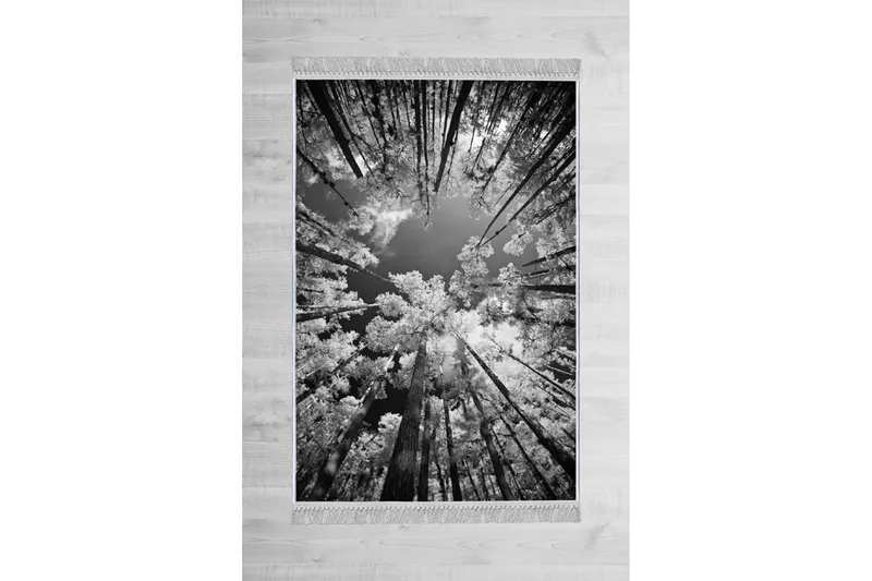 Homefesto Matto 180x280 cm, Monivärinen/Sametti