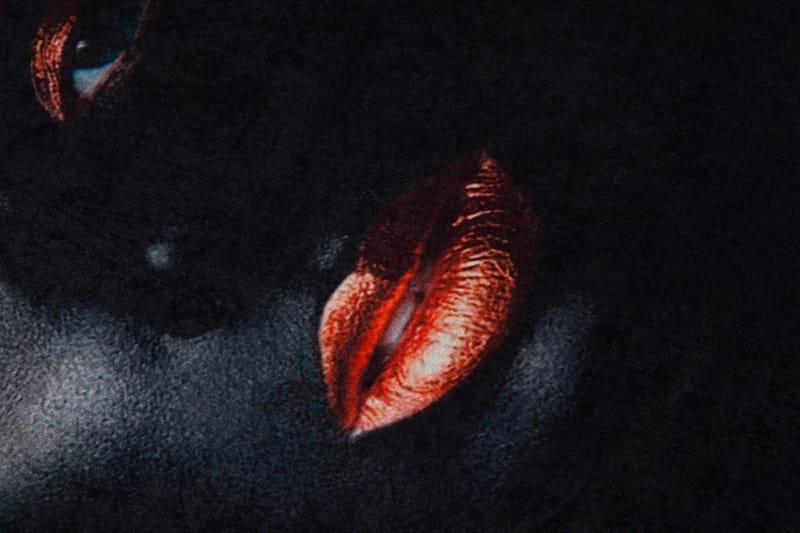 Homefesto Matto 80x120 cm - Monivärinen - Kodintekstiilit & matot - Matto - Itämainen matto - Persialainen matto