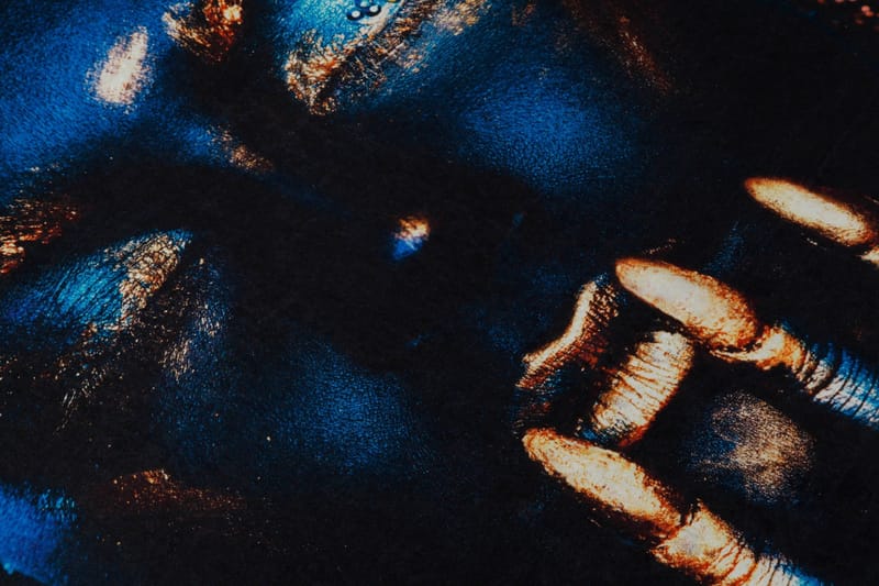 Homefesto Matto 80x120 cm - Monivärinen - Kodintekstiilit & matot - Matto - Itämainen matto - Persialainen matto