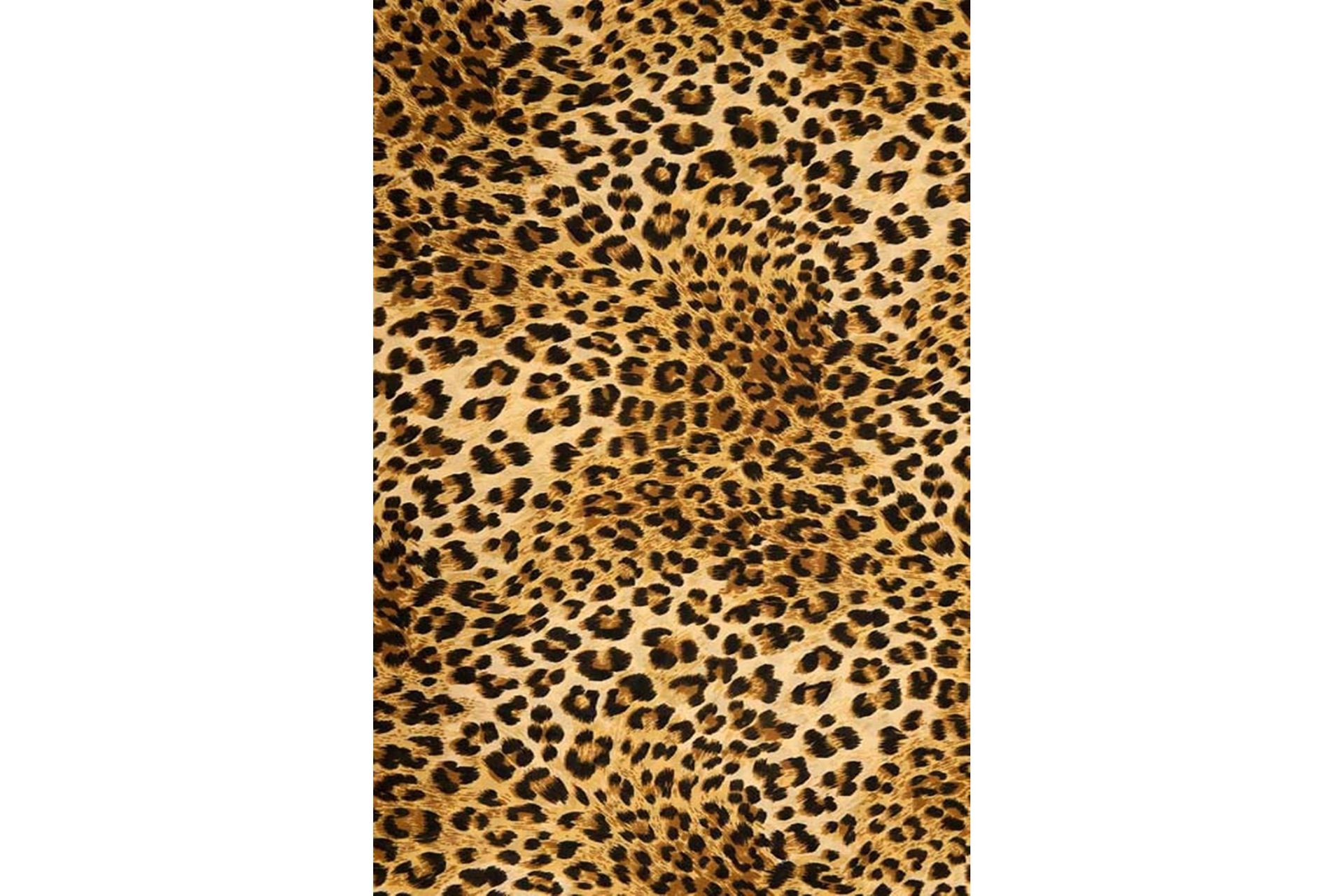 Homefesto Matto 80x120 cm - Monivärinen/Sametti - Kodintekstiilit & matot - Matto - Itämainen matto - Persialainen matto