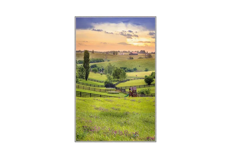 Homefesto Matto 80x150 cm, Monivärinen