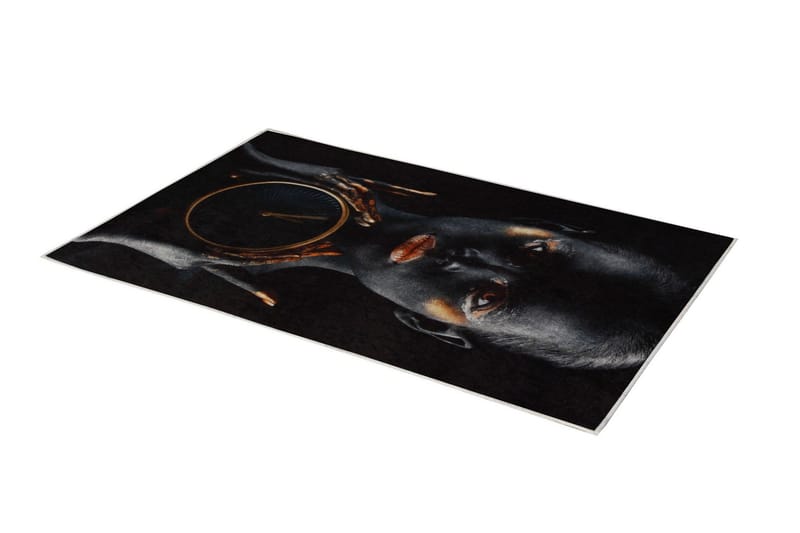 Homefesto Matto 80x200 cm - Monivärinen - Kodintekstiilit & matot - Matto - Itämainen matto - Persialainen matto