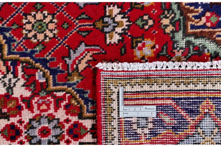 Käsinsolmittu Persialainen Patina Matto 275x366 cm - Punainen/Tummansininen - Persialainen matto - Itämainen matto