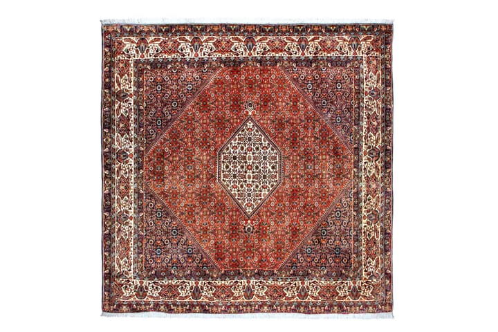 Käsinsolmittu persialainen matto 200x200 cm - Kupari / Beige - Persialainen matto - Itämainen matto