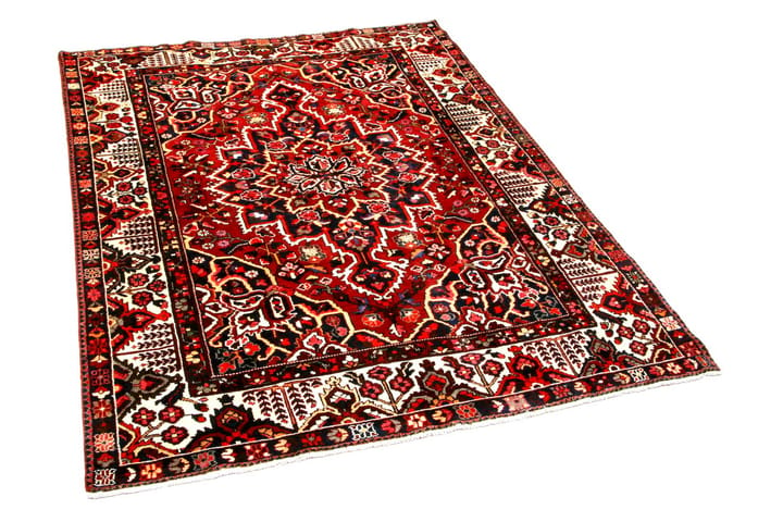 Käsinsolmittu persialainen matto 217x297 cm - Punainen/Beige - Persialainen matto - Itämainen matto