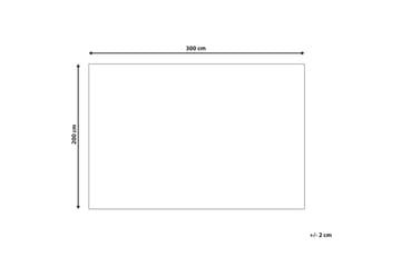 Kelimmatto Lorut 200x300 cm - Punainen - Kodintekstiilit & matot - Matto - Itämainen matto - Kelim-matto