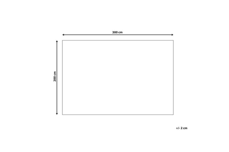 Matto Punge - 200x300 cm - Kodintekstiilit & matot - Matto - Tasokudotut matot