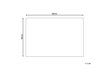 Matto Punge - 300x400 cm - Kodintekstiilit & matot - Matto - Tasokudotut matot
