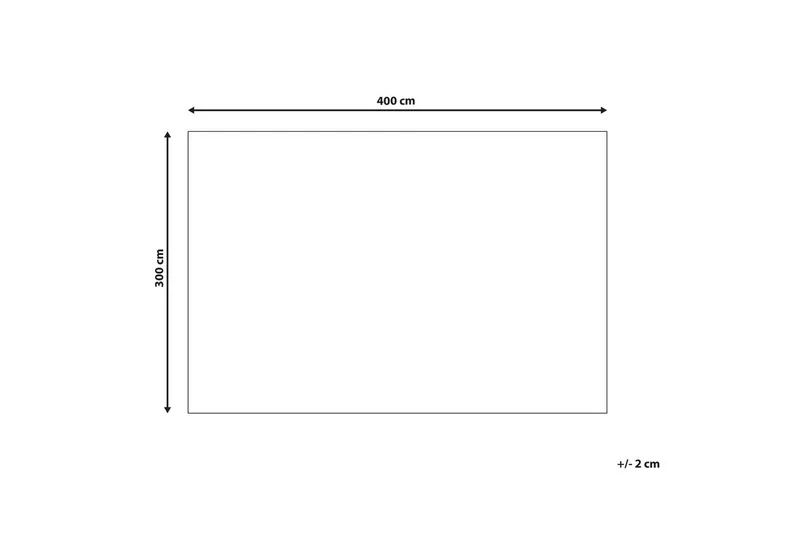 Matto Punge - 300x400 cm - Kodintekstiilit & matot - Matto - Tasokudotut matot